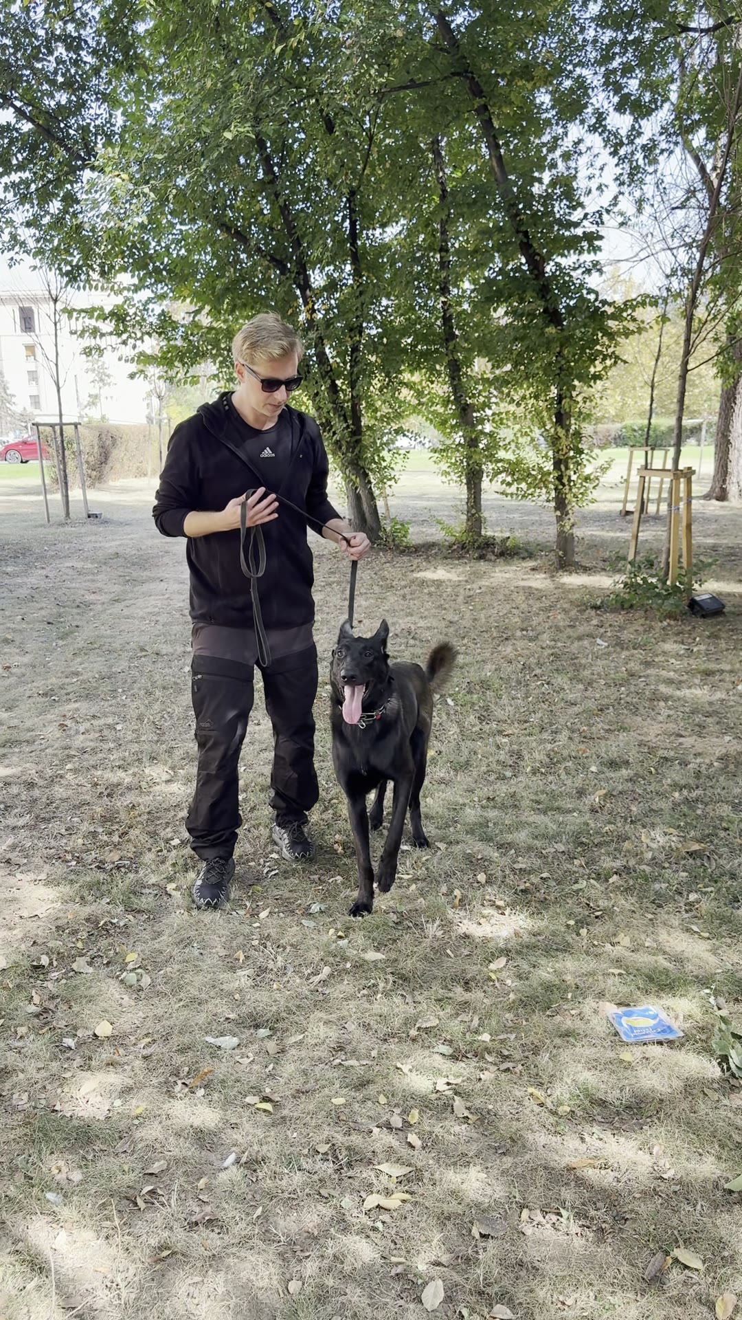 Adi mângâind un ciobănesc negru în „culcat”
