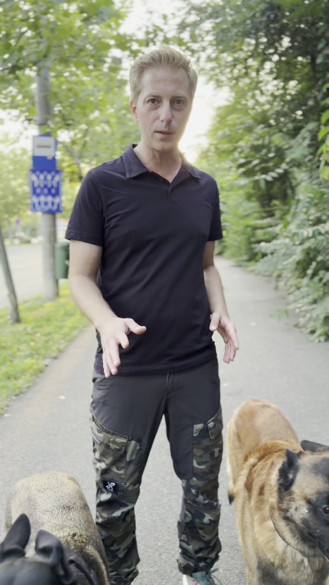 Adi vorbind către cameră cu trei ciobănești belgieni