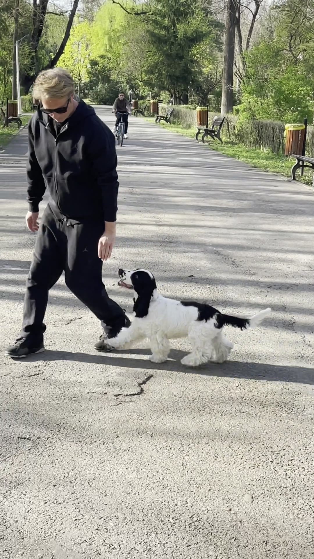 Adi lucrând chemarea cu un cocker spaniel pe o alee din parc