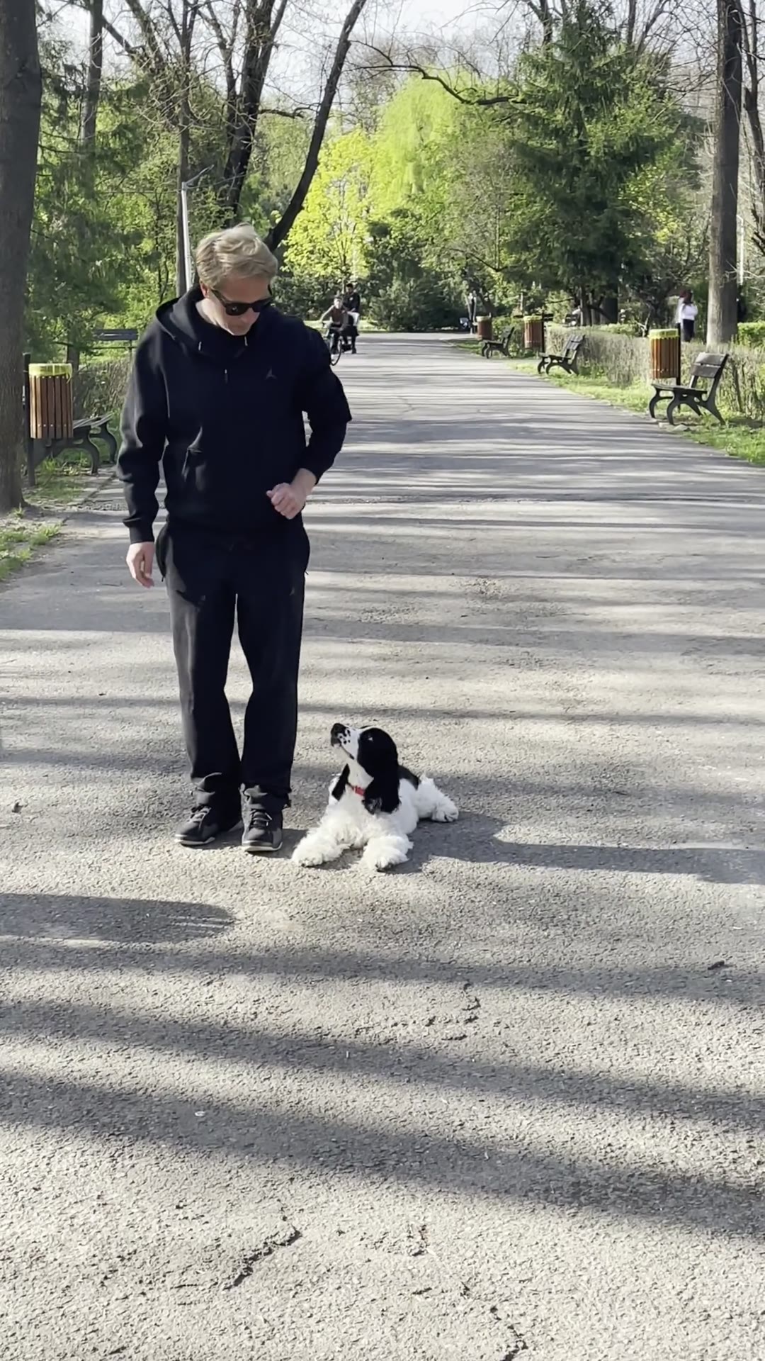 Adi cu un cocker spaniel la picior pe aleea din parc, primăvara