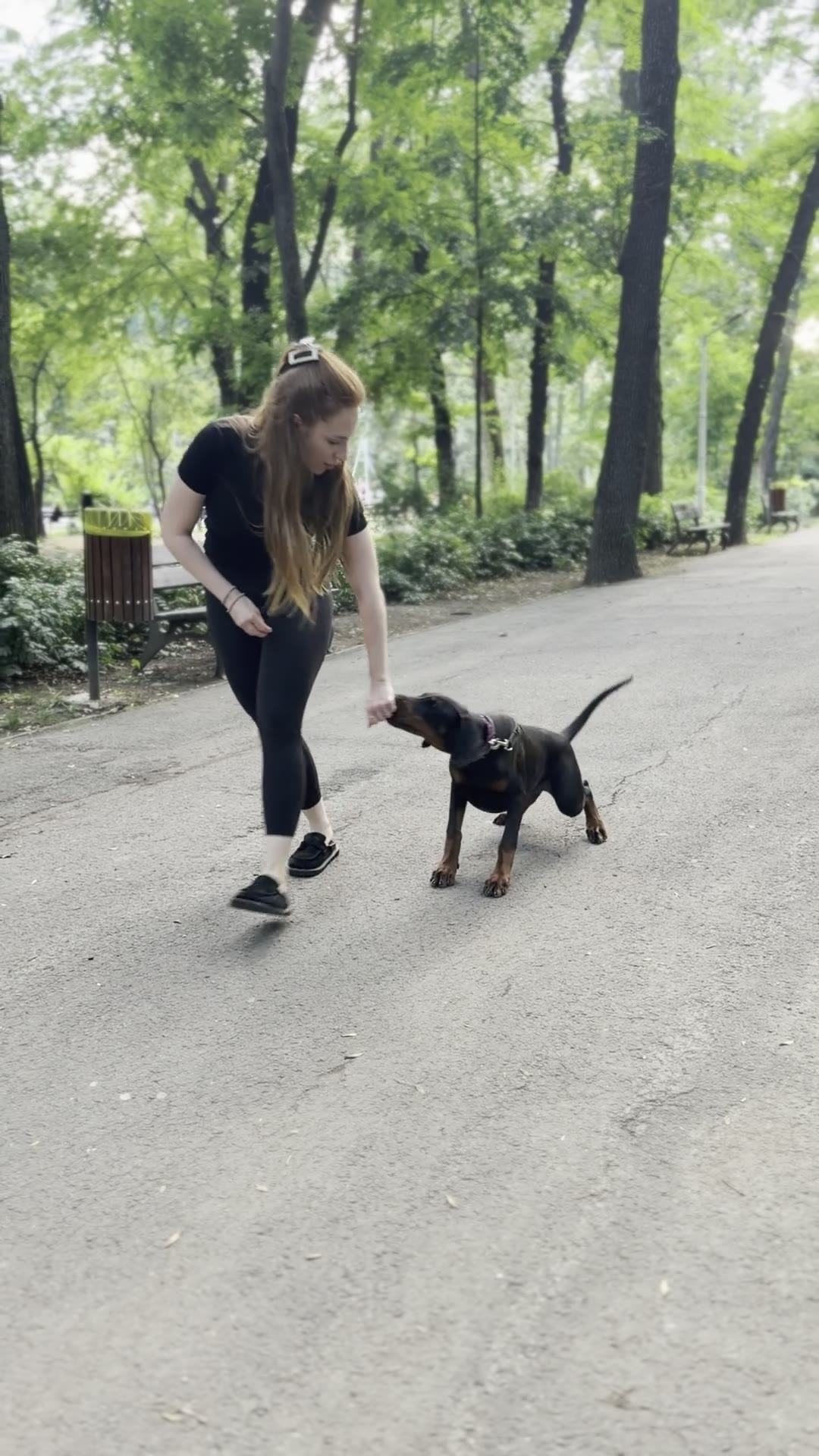Tânără lucrând comanda „culcat” cu un doberman
