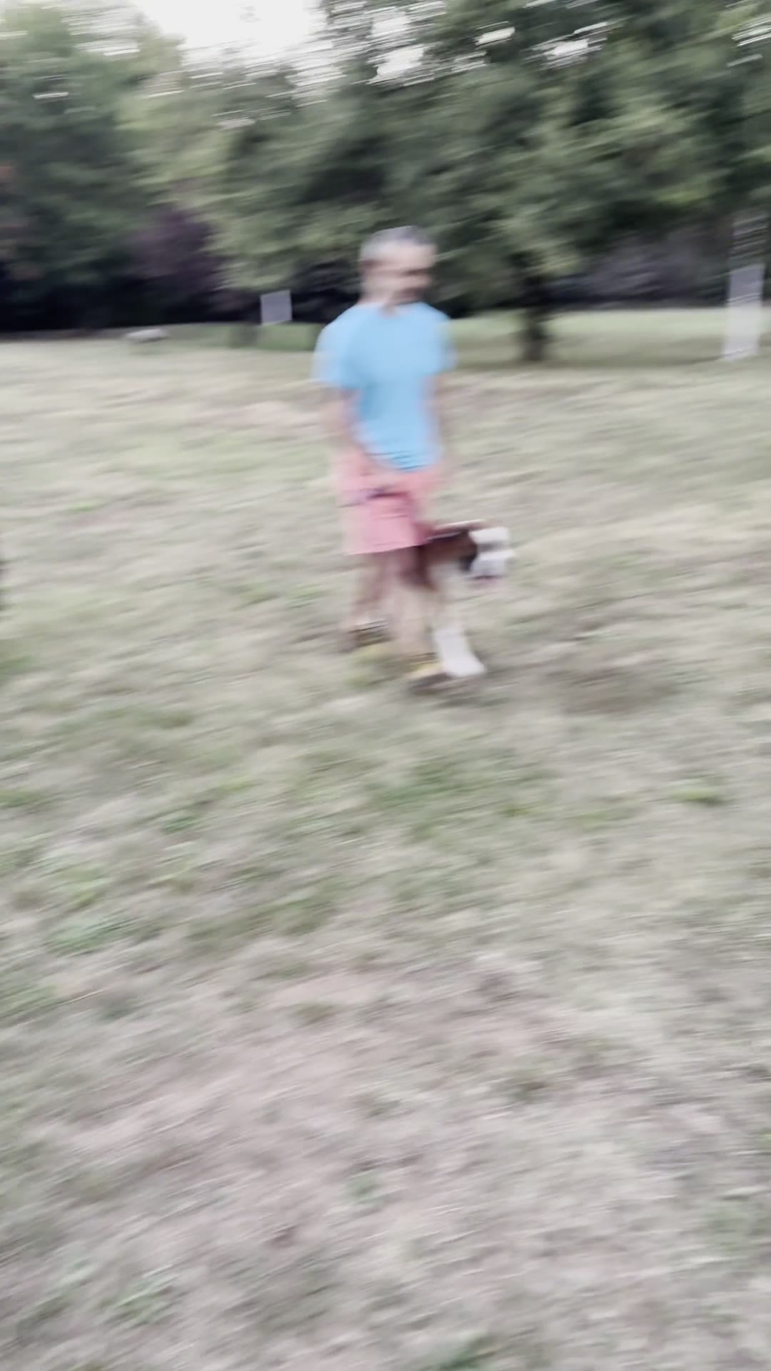 Stăpân cu boxer și ciobănesc la picior, seara, în parc