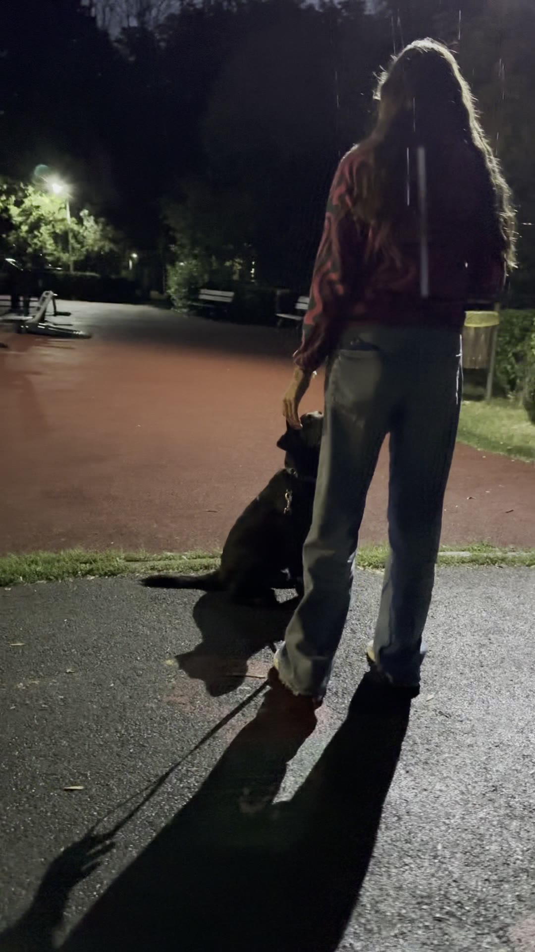 Labrador negru în „șezi” seara, sub felinar