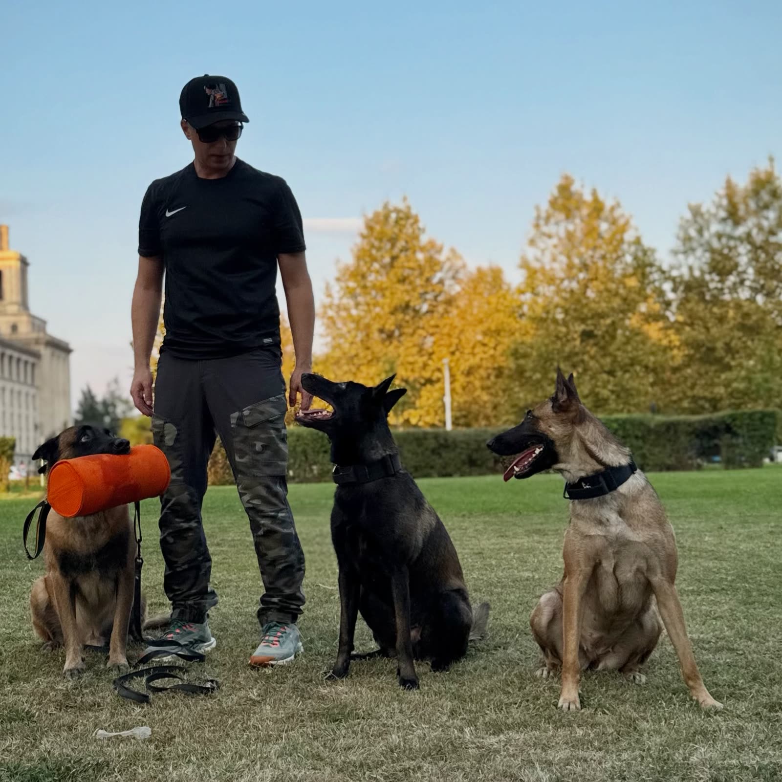 Adi și trei Malinois