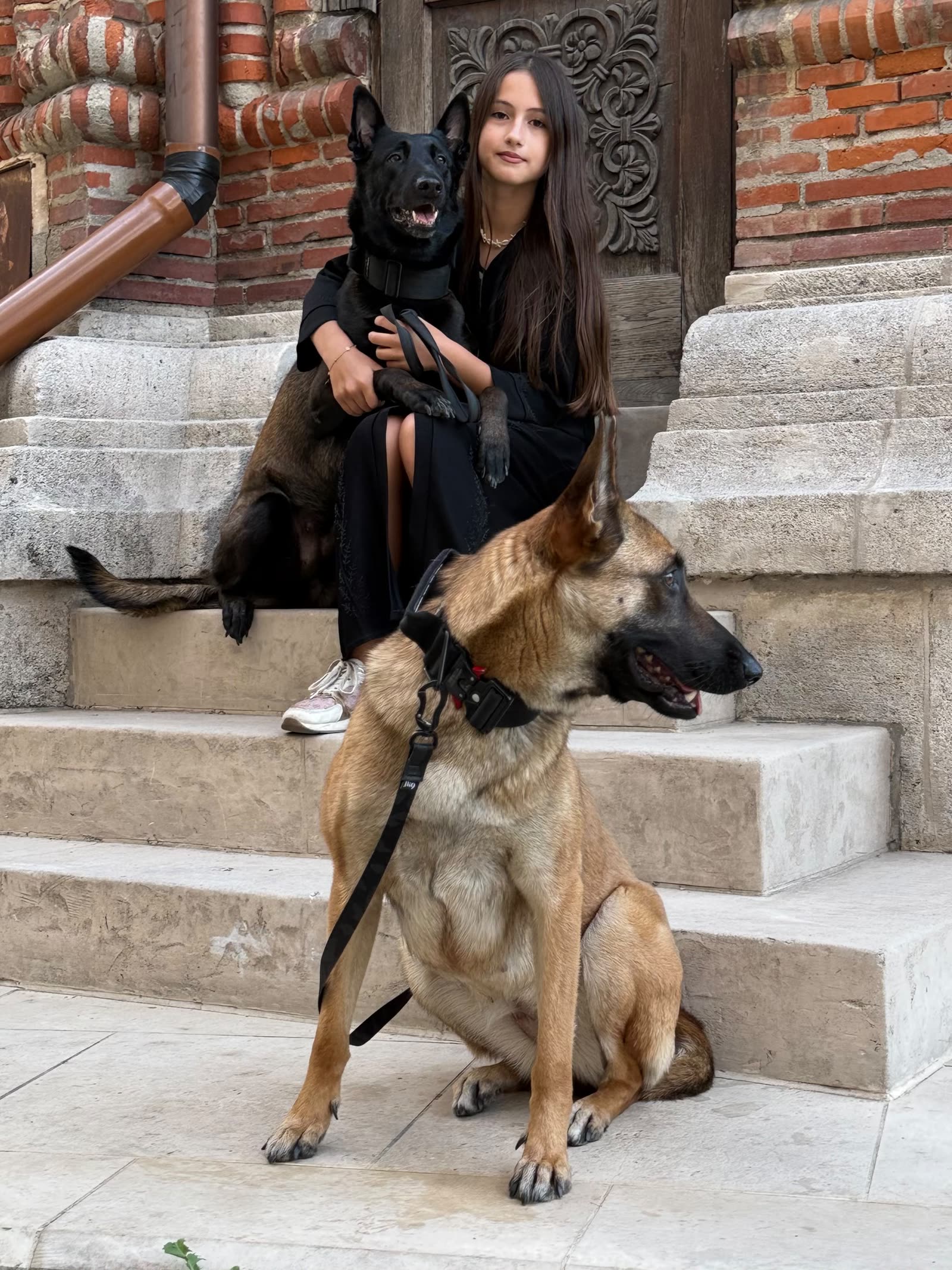 Pe trepte, cu doi Malinois
